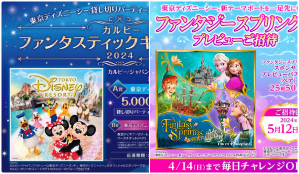 カルビー　ディズニーランド　貸切　パーティー　チケット　ペア「未使用」 【人気定番，大人気】