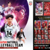 男子バレーボールウエハースどこで売ってる選手カード一覧 (10)